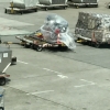 pa_20170531_0624