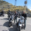 Bossico 2015