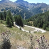 assietta_20