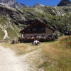 refugio_04